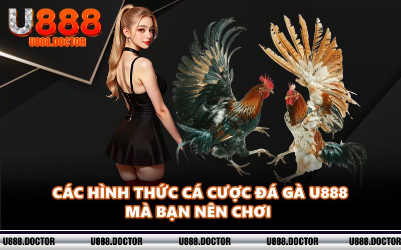 Các hình thức cá cược đá gà U888 mà bạn nên chơi